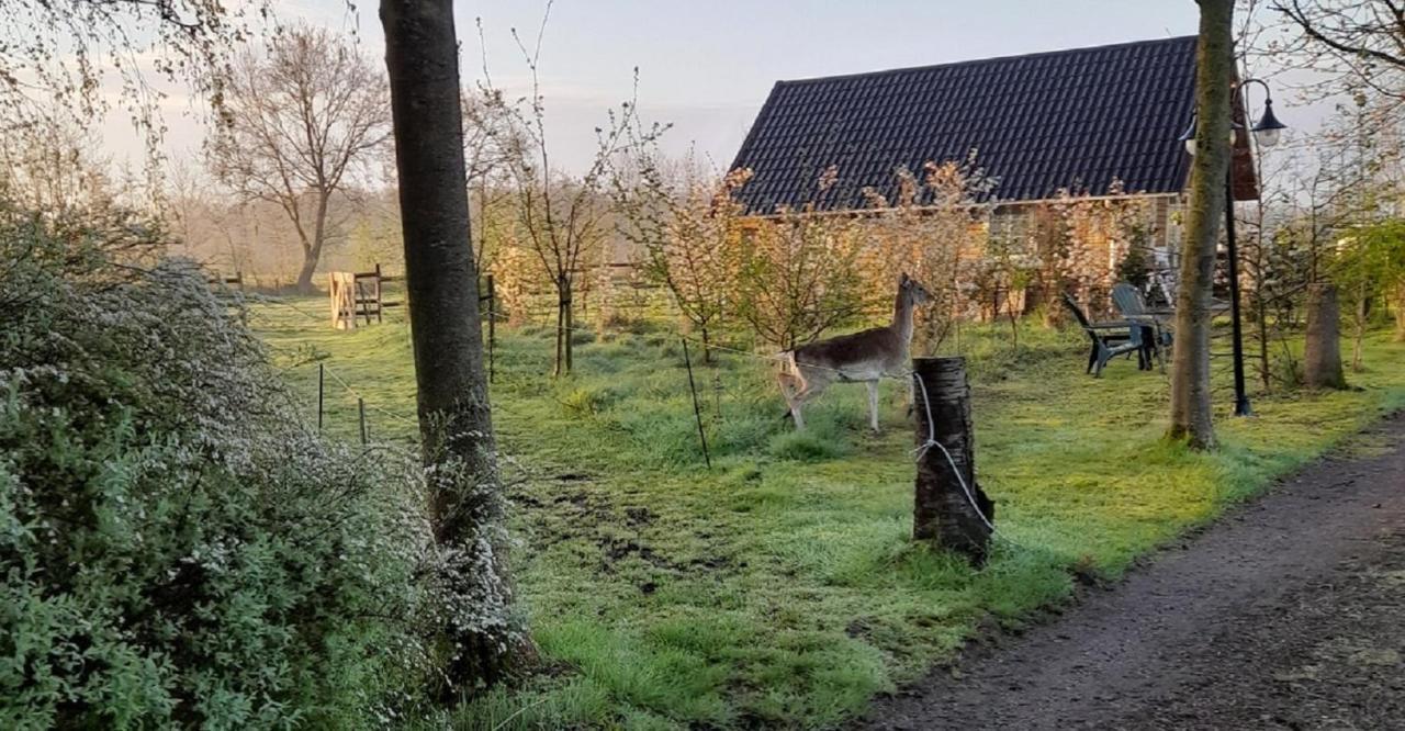 B&B Landgoed Sonneborghe Kollumerzwaag Kültér fotó