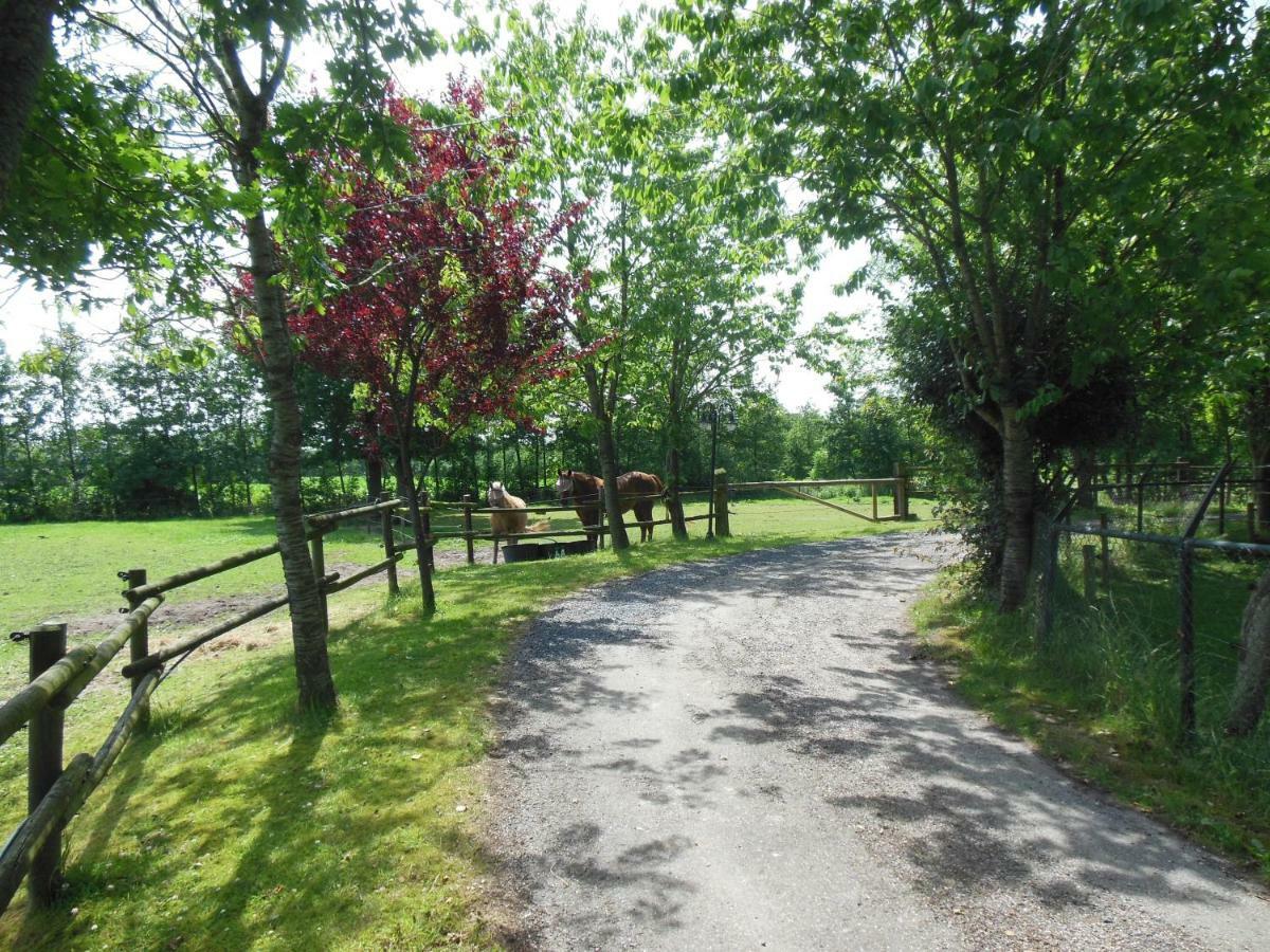 B&B Landgoed Sonneborghe Kollumerzwaag Kültér fotó