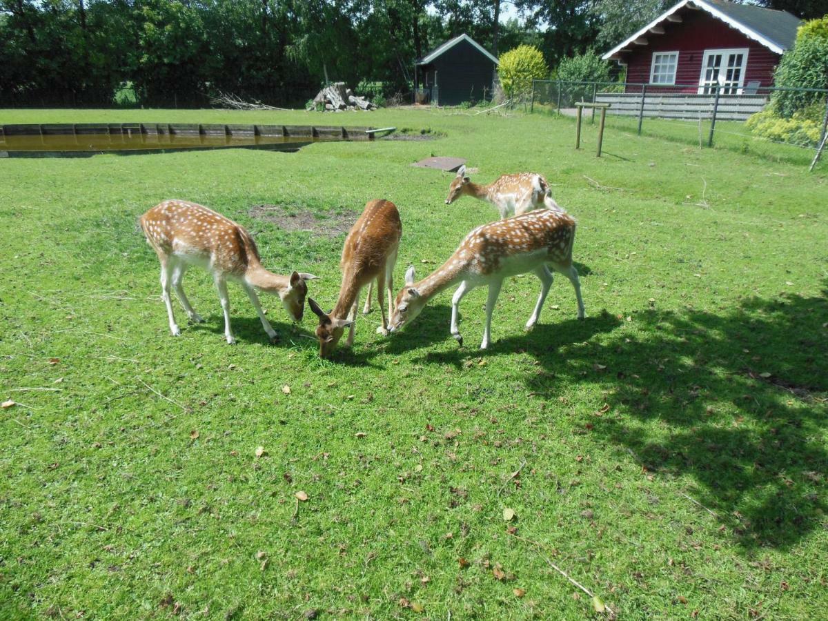 B&B Landgoed Sonneborghe Kollumerzwaag Kültér fotó